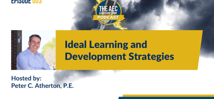 Episode 053: Ideal Learning and Development Strategies