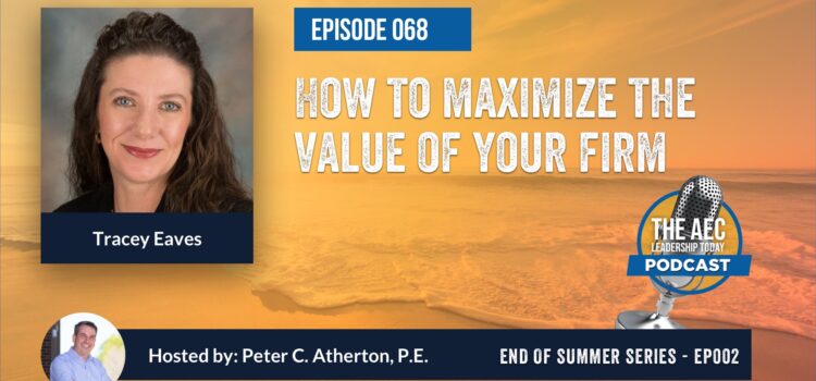Episode 068: How to Maximize The Value of Your Firm (Top Replay)